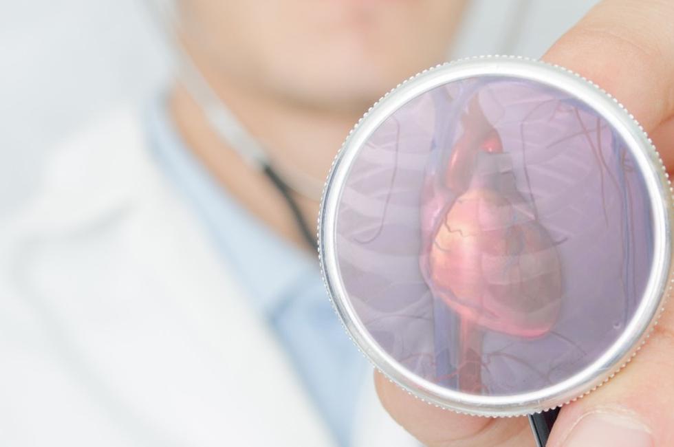 Cardiovascular Technologist Salary and Career Opportunities